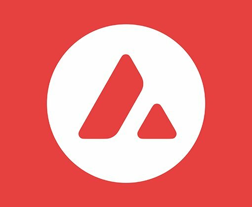 Новый фонд от Avalanche Foundation
